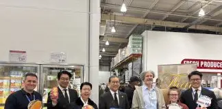 Thai Mango @ Costco UK